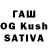 Канабис планчик Sariah