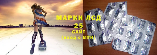 ПСИЛОЦИБИНОВЫЕ ГРИБЫ Аркадак
