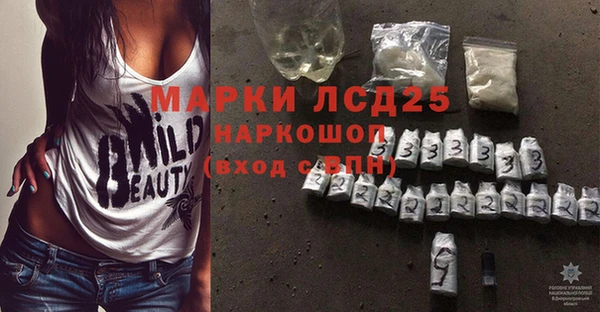 ПСИЛОЦИБИНОВЫЕ ГРИБЫ Аркадак