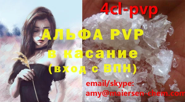 ПСИЛОЦИБИНОВЫЕ ГРИБЫ Аркадак