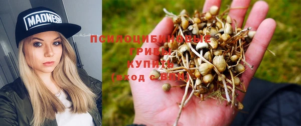 мдпв Армянск