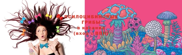 меф Арсеньев