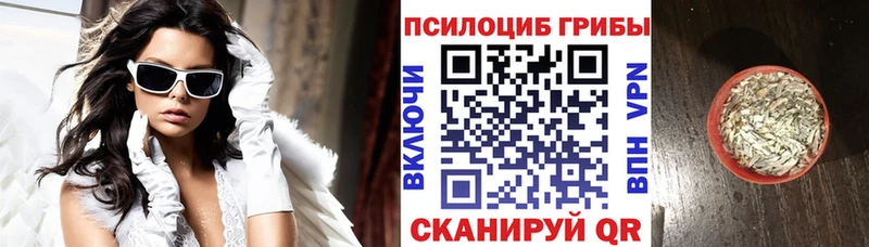 Псилоцибиновые грибы Psilocybine cubensis  купить  цена  Полысаево 
